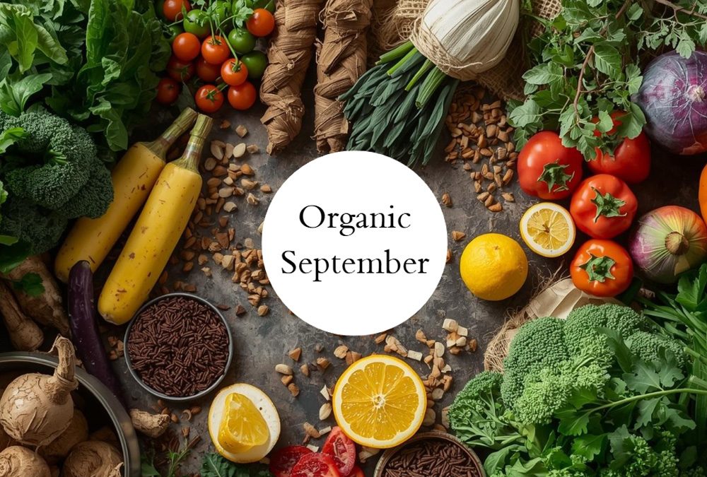 Celebrating Organic September: The Power of Organic Nutraceuticals with Redrose